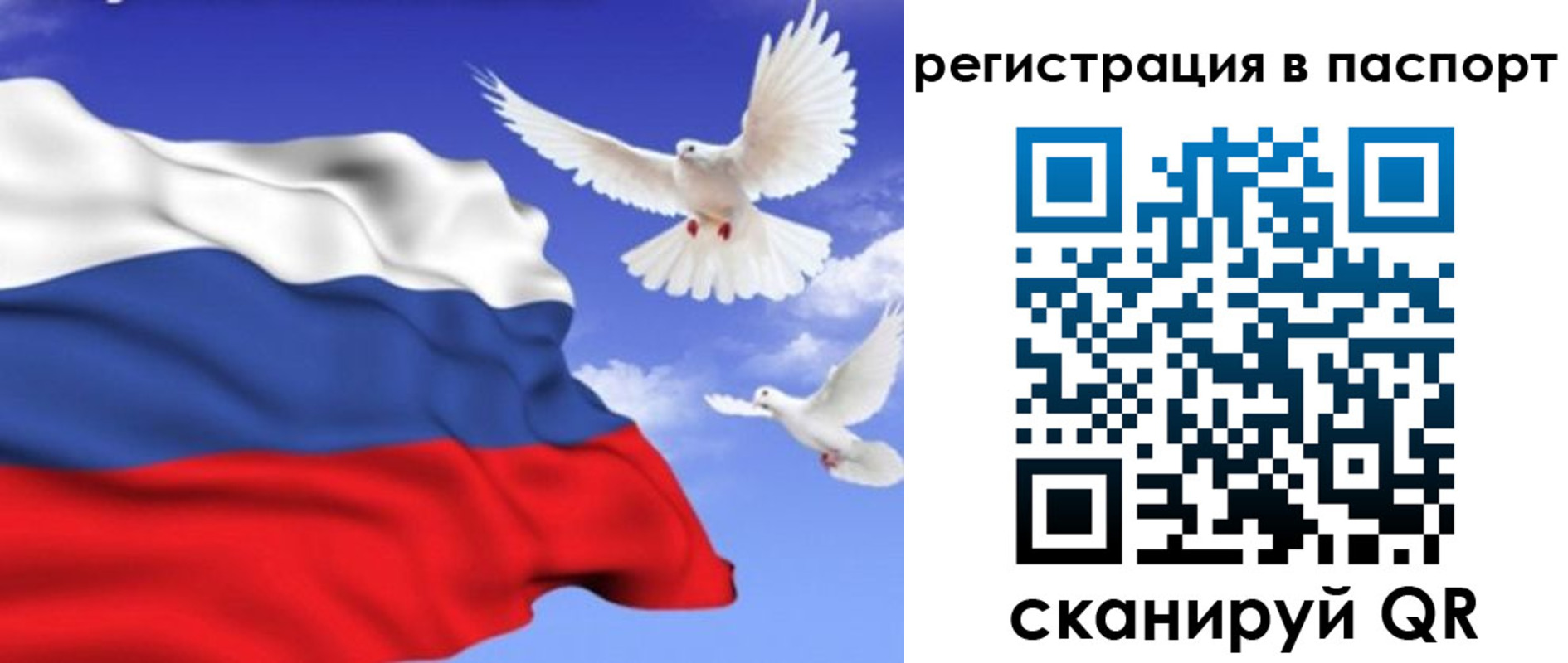 купить прописку в Киселёвске